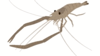 日常で松田を思い出させちゃってすみません…